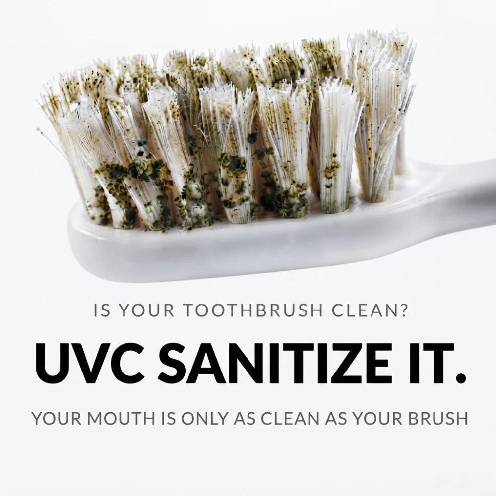 Damp toothbrush bristles in a cup by the sink — the rinse makes it look clean, but that's about all it does